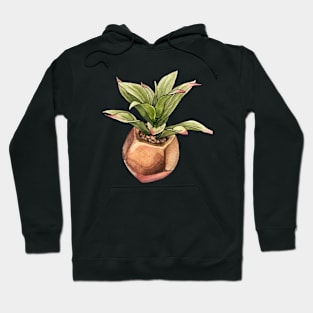 Decorative Succulent Hoodie